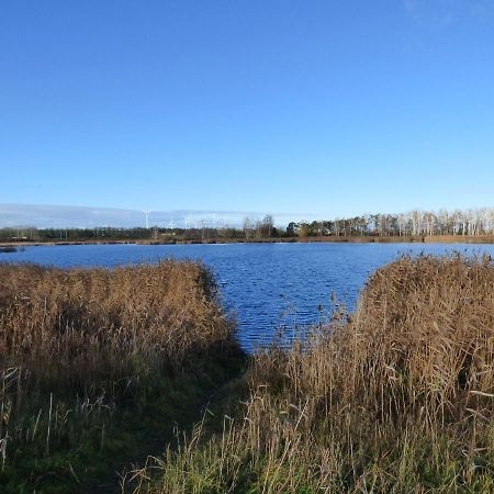 Uckermark "Ferienwohnung Sommerfugl " Passow  Dış mekan fotoğraf