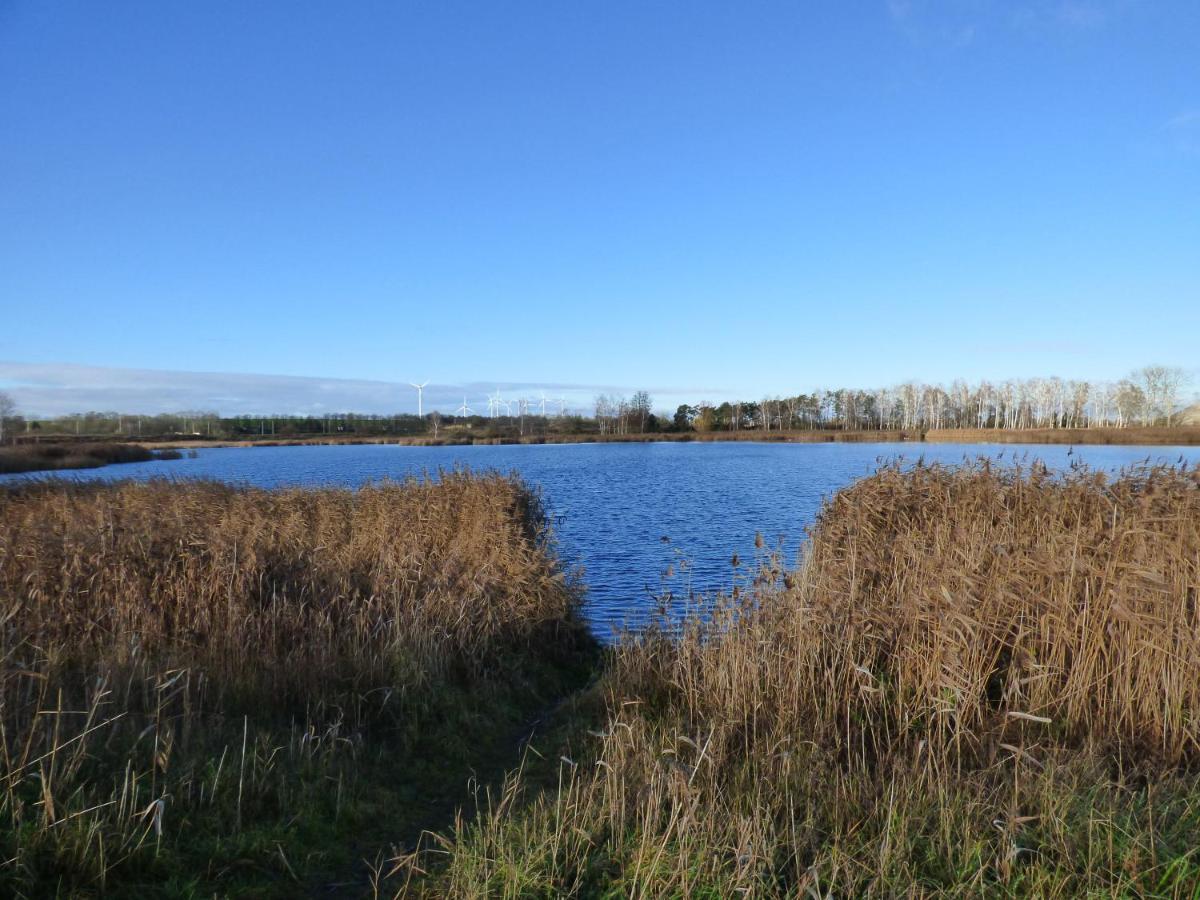 Uckermark "Ferienwohnung Sommerfugl " Passow  Dış mekan fotoğraf