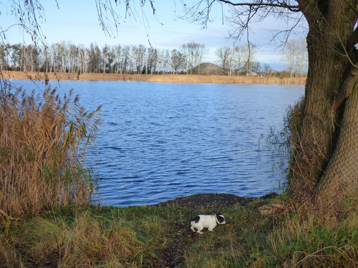 Uckermark "Ferienwohnung Sommerfugl " Passow  Dış mekan fotoğraf