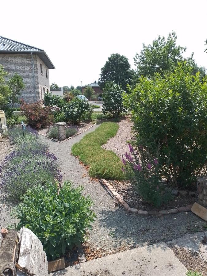Uckermark "Ferienwohnung Sommerfugl " Passow  Dış mekan fotoğraf